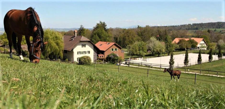 Guesthouse La Moliere, 3 Bedrooms, Private House, Horse Farm, Full Nature Murist ภายนอก รูปภาพ