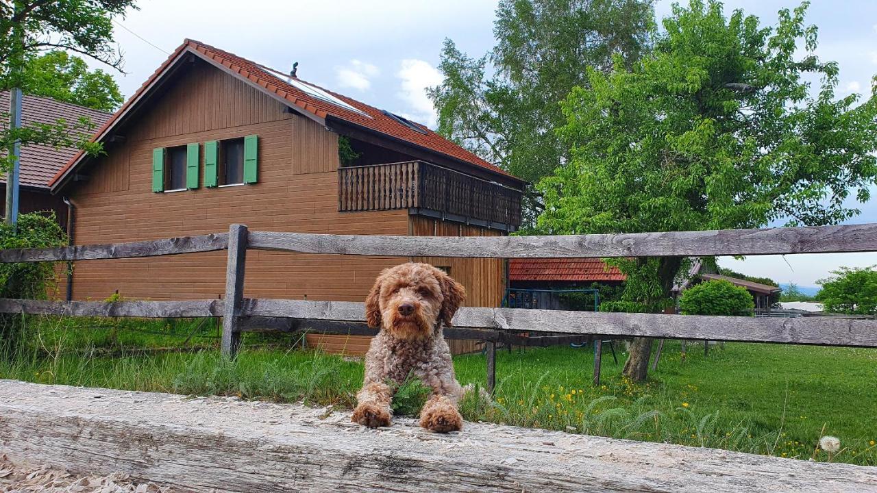 Guesthouse La Moliere, 3 Bedrooms, Private House, Horse Farm, Full Nature Murist ภายนอก รูปภาพ