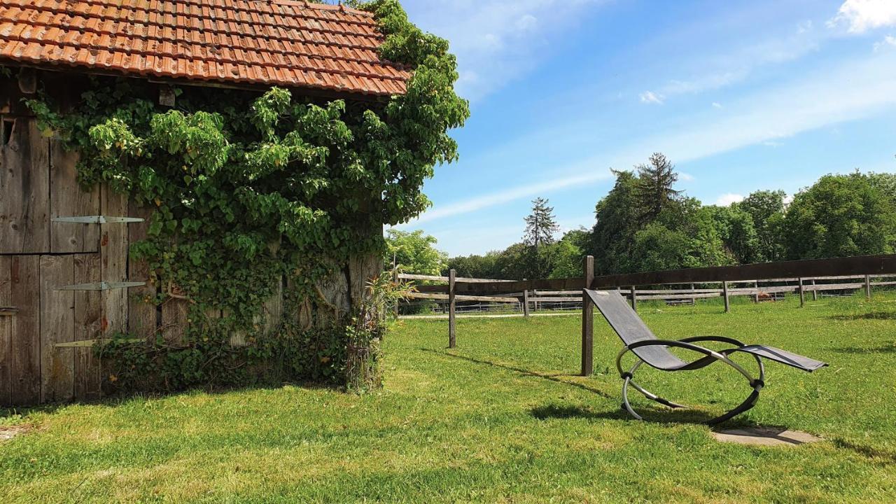 Guesthouse La Moliere, 3 Bedrooms, Private House, Horse Farm, Full Nature Murist ภายนอก รูปภาพ